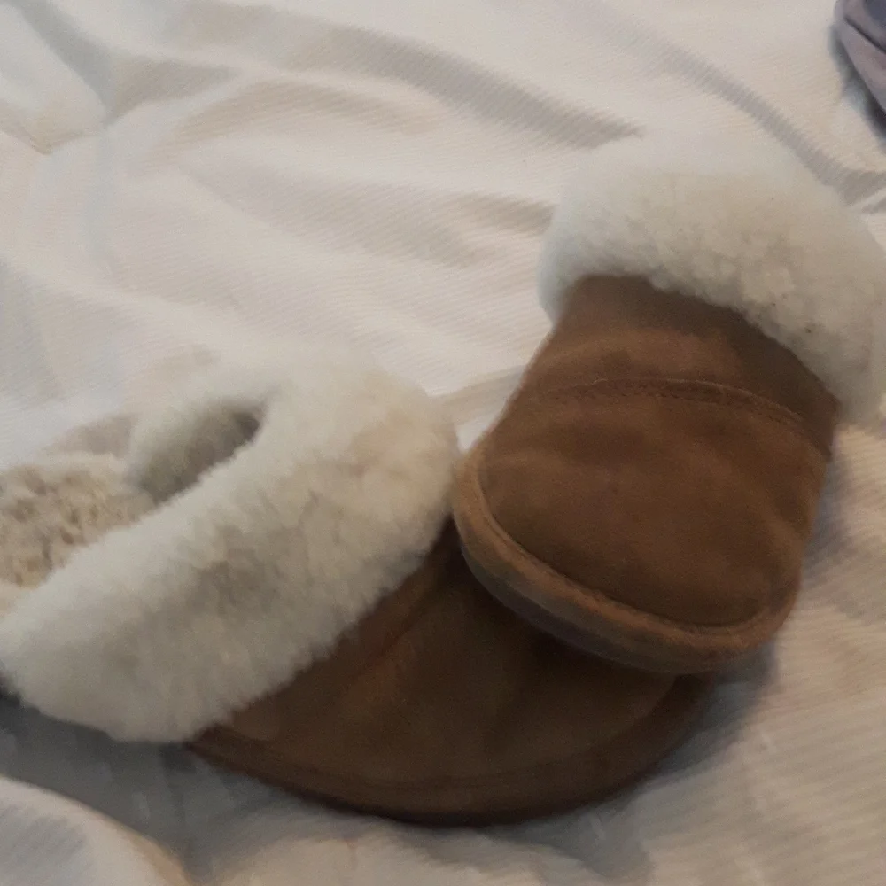 Slippers - Picture 1 of 1